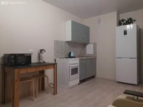 Квартира-студия: Ростов-на-Дону, улица Юрия Дубинина, 15 (26 м)