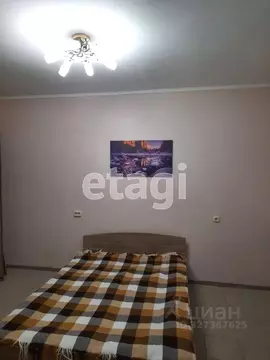 Студия Краснодарский край, Анапа Терская ул., 40 (19.3 м)