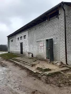Помещение свободного назначения в Брянская область, Суземский район, ...