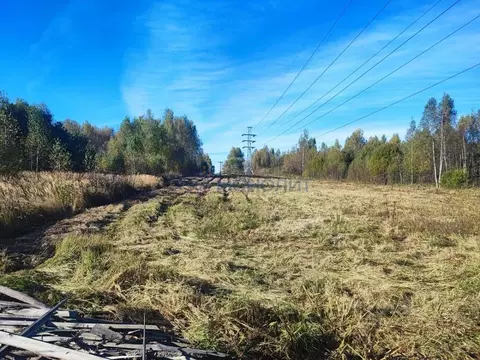 Участок в Нижегородская область, Балахнинский муниципальный округ, д. ...