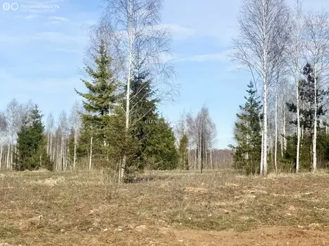 Участок в Москва, ЗАО, район Кунцево, квартал № 450 (45 м)