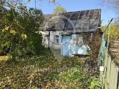 Дом в Рязанская область, Михайловский муниципальный округ, с. Голдино ...