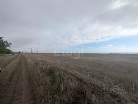 Участок в Крым, Черноморский район, Окуневское с/пос, с. Марьино  (5.0 ...