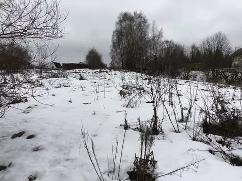 Участок в Московская область, Клин городской округ, с. Троицкое  ...