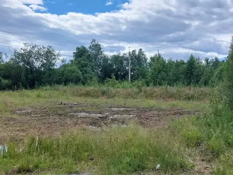 Участок в Хабаровский край, Хабаровский район, Мичуринское с/пос, с. ...