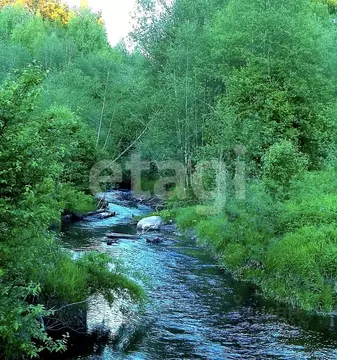 Участок в Ленинградская область, Лодейнопольский район, Янегское ...
