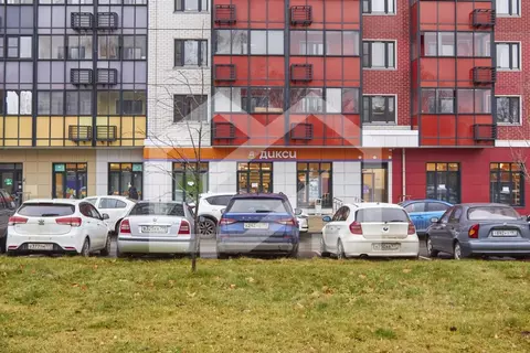 Помещение свободного назначения в Москва Долгопрудная аллея, 14к1 (445 ...