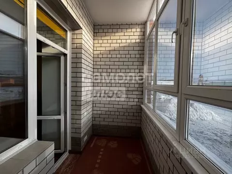 Студия Алтайский край, Барнаул просп. Космонавтов, 17 (34.2 м)