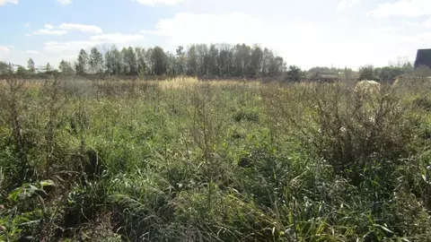 Участок в Московская область, Рузский муниципальный округ, д. Неверово ...