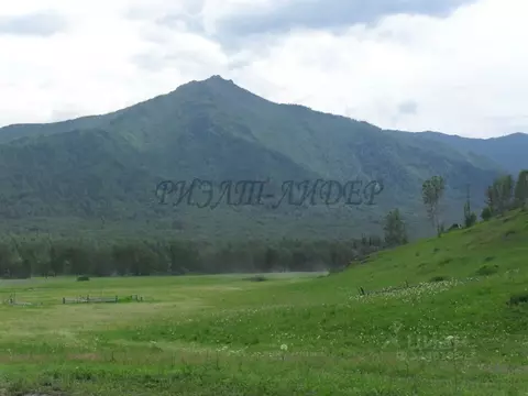 Участок в Алтай, Усть-Коксинский район, с. Катанда  (930.36 сот.)