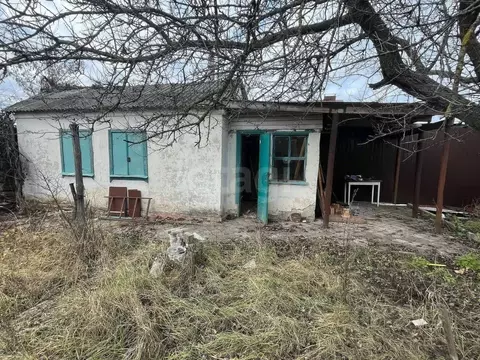 Дом в Воронежская область, Воронеж Придонье СНТ, 238 (17 м)