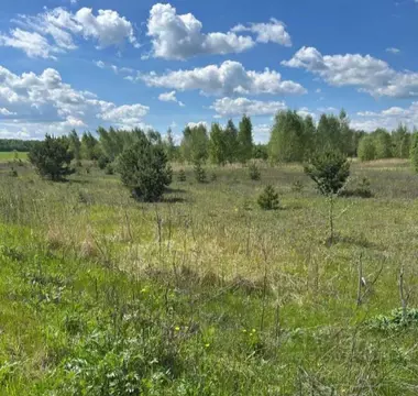 Участок в Московская область, Коломна городской округ, д. Свиридоново  ...