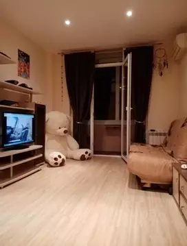 Студия Краснодарский край, Сочи Виноградная ул., 135/13 (28.0 м)