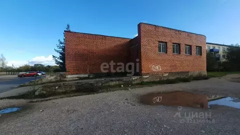 Торговая площадь в Псковская область, Остров Строитель мкр, 12 (333 м)