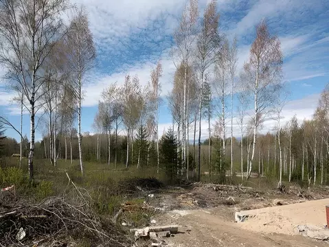 Дом в Ленинградская область, Всеволожский район, Бугровское городское ...