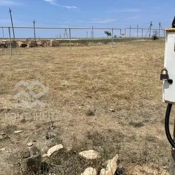 Участок в Крым, Черноморский район, с. Новосельское, Волна СНТ ул. ...