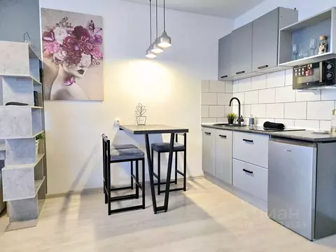 Студия Пермский край, Пермь ул. Барамзиной, 38 (35.0 м)