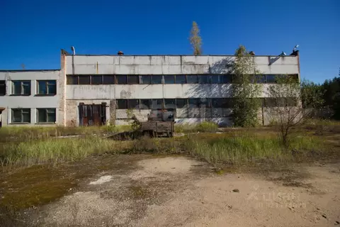 Склад в Калужская область, Дзержинский район, Льва Толстого с/пос, с. ...
