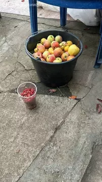 Участок в Азовский район, Новоалександровское сельское поселение, ...