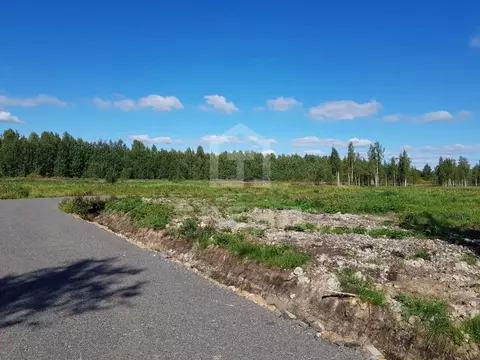Участок в Ленинградская область, Всеволожский район, Куйвозовское ...
