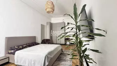 Комната Санкт-Петербург Каменноостровский просп., 50 (24.0 м)