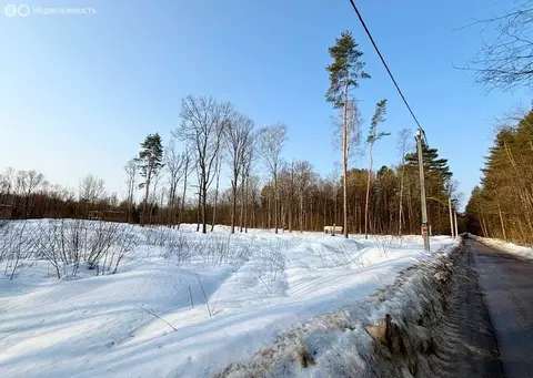 Участок в Чехов, Дорожная улица (6.6 м)