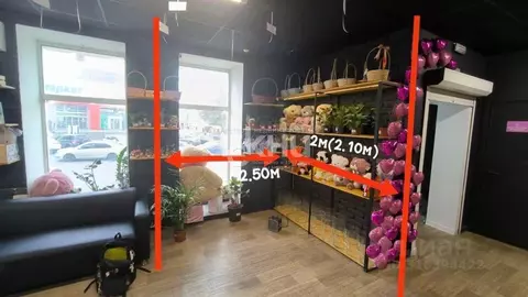 Торговая площадь в Нижегородская область, Нижний Новгород ул. ...