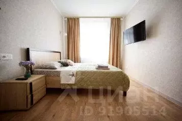 1-к кв. Санкт-Петербург пер. Ипподромный, 1к3 (10.0 м)