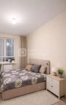 Студия Санкт-Петербург пос. Шушары, просп. Старорусский, 8к2 (21.8 м)