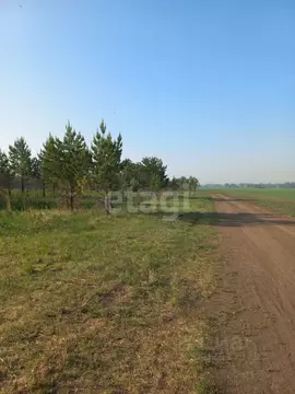 Участок в Свердловская область, Талицкий муниципальный округ, пос. ...