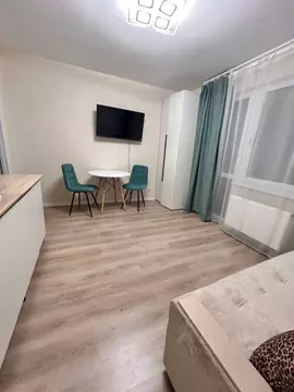 Студия Санкт-Петербург ул. Пахомовская, 25 (18.6 м)