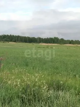Участок в Ленинградская область, Волховский район, Колчановское с/пос, ...