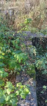 Участок в Московская область, городской округ Солнечногорск, садовое ...