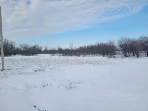 Участок в Ростовская область, Азовский район, Новоалександровское ...