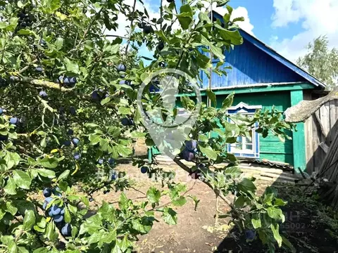 Дом в Рязанская область, Сараи рп ул. Большие Сараи, 31 (31 м)