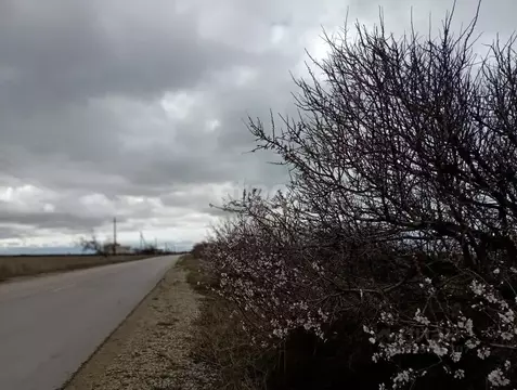 Участок в Крым, Ленинский район, Семисотское с/пос, с. Каменское ул. ...