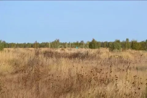 Участок в Свердловская область, Нижний Тагил Рудник имени 3-го ...