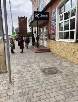 Торговая площадь в Липецкая область, Елец Советская ул., 77А (46 м)