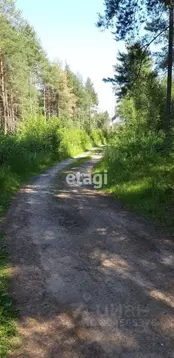 Участок в Ленинградская область, Кировский район, пос. Мга ул. ...