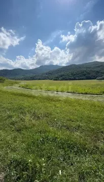 Участок в Адыгея, Майкопский район, Даховская ст-ца  (249.97 сот.)