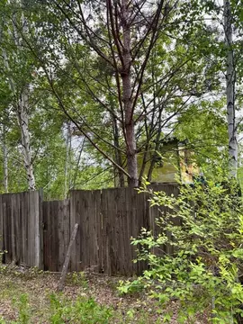 Участок в Амурская область, Благовещенский район, с. Чигири ...