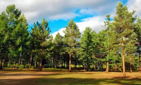Участок в Ягодное, Осиновая улица (6.3 м)