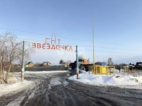 Участок в Омская область, Омск СОСН Звездочка тер., аллея 1-я (5.94 ...