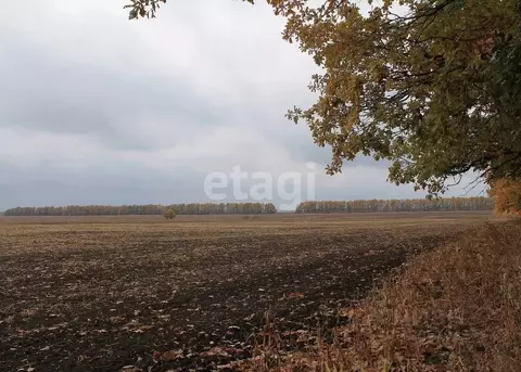 Участок в Татарстан, Зеленодольский район, Осиновское с/пос, Площадка ...