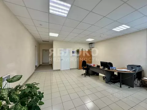 Помещение свободного назначения в Пермский край, Березники ул. Фрунзе, ...