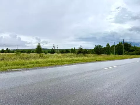 Участок в Татарстан, Пестречинский район, Богородское с/пос, д. Куюки ...