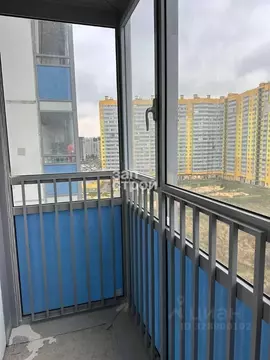 Студия Ленинградская область, Мурино Всеволожский район, ул. Графская, ...