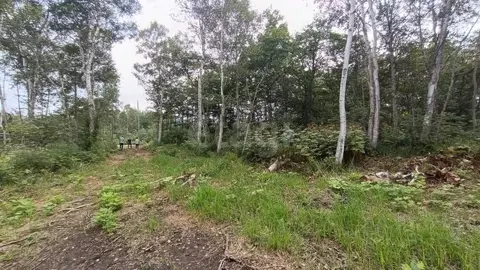 Участок в Башкортостан, Туймазы  (9.1 сот.)