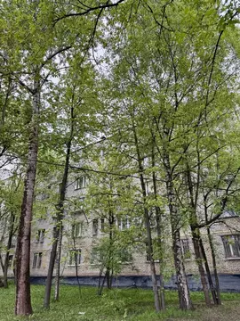 1-к кв. Москва Открытое ш., 21К14 (18.1 м)