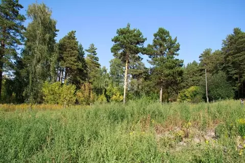 Участок в Алтайский край, Солонешенский район, с. Березово Горная ул. ...